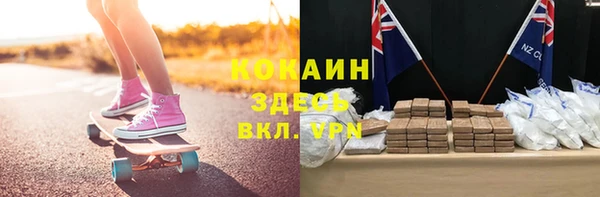 не бодяженный Алексин